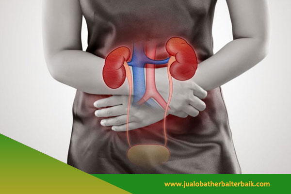 Obat Herbal Gagal Ginjal di Jakarta