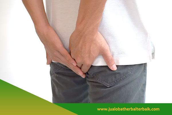Obat Herbal Wasir di Jakarta