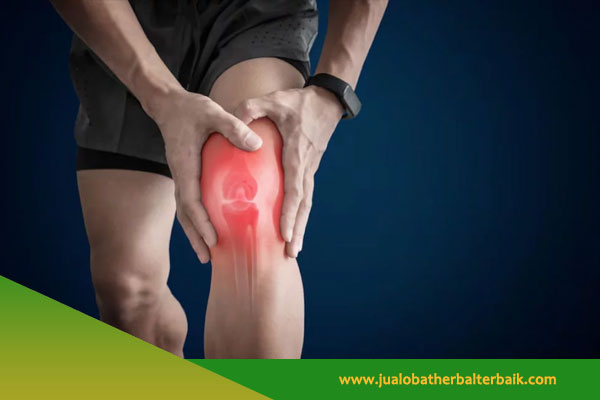 Obat Herbal Arthritis di Jakarta