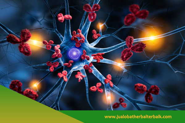 Obat Herbal Autoimun di Jakarta