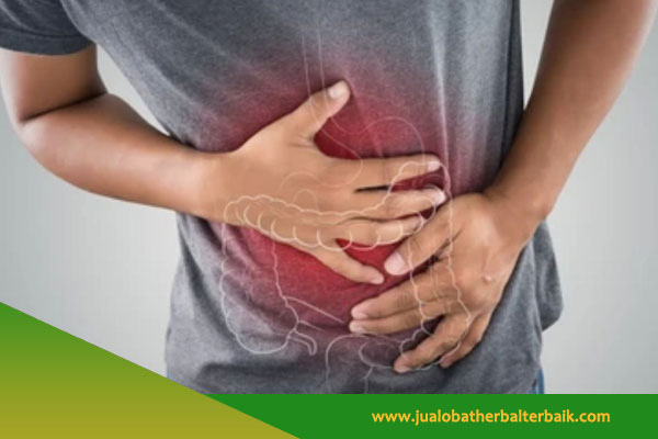 Jual Obat Herbal Pencernaan Jakarta